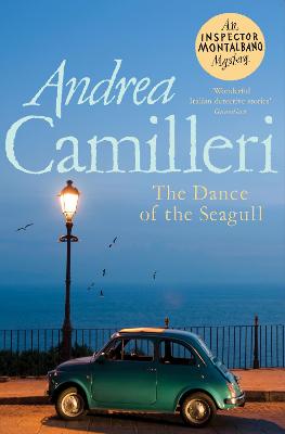 The Dance Of The Seagull (Paperback)
