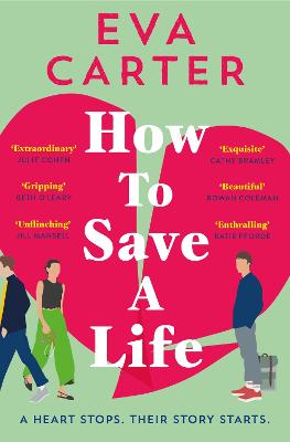 How To Save A Life (Paperback)