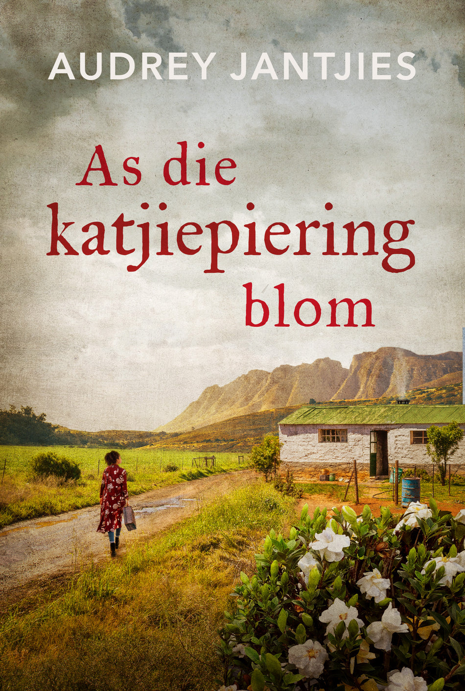As die Katjiepiering Blom